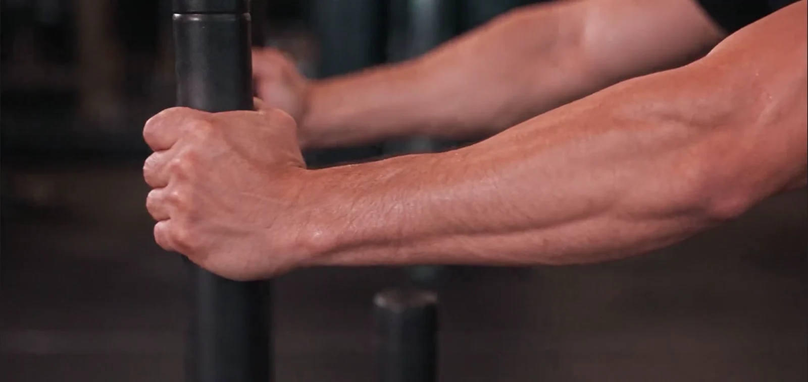 Falcon Eye — Strength in detail